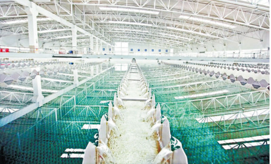 長陽市自來水凈化處理項目